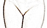 http://www.bikiniwax.jp/my_first_blog/all.jpg