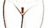 obal.jpg