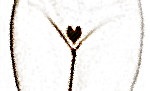 http://www.bikiniwax.jp/my_first_blog/heart.jpg