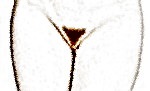 http://www.bikiniwax.jp/my_first_blog/natural%20triangle.jpg