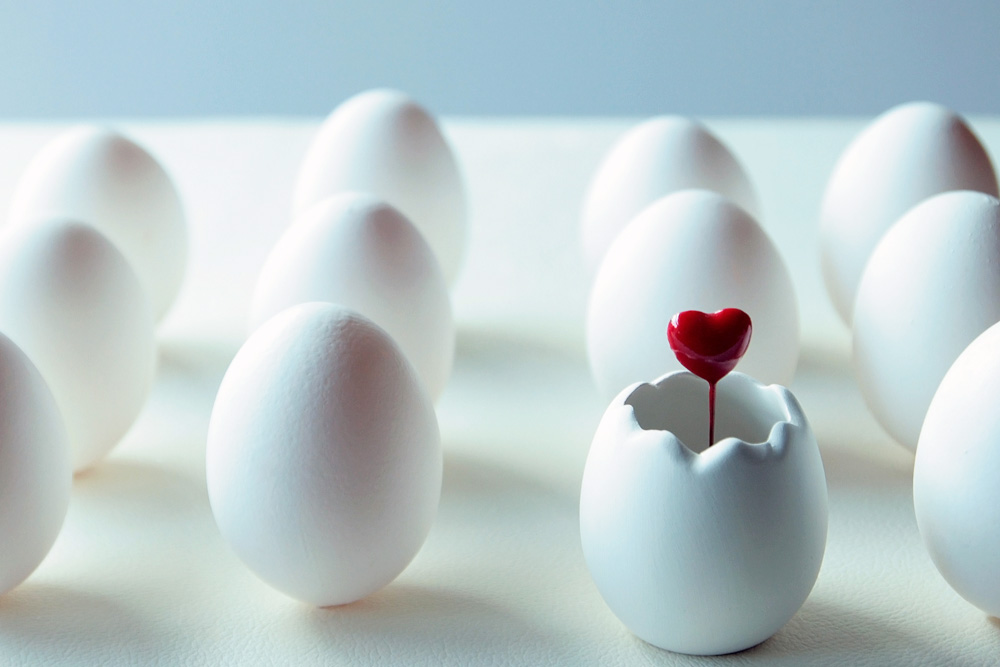 egg